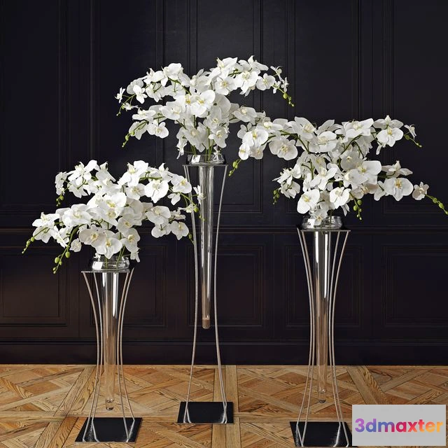 1557645 - Orchid 6 bouquet 3D Max