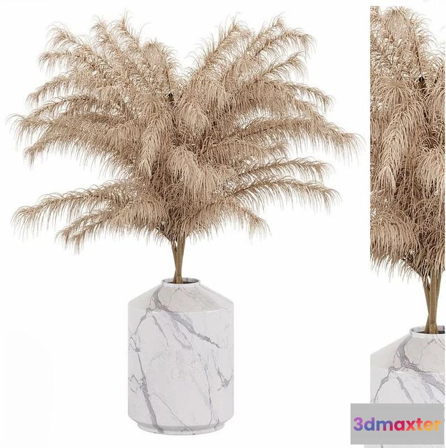 1559361 - Dry Flower 3D Max