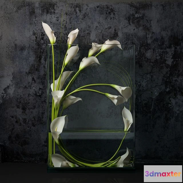 1560034 - White calla 3D Max