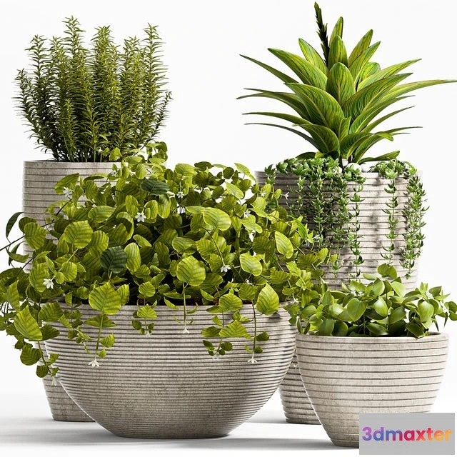 1560282 - Plant set 57 3D Max
