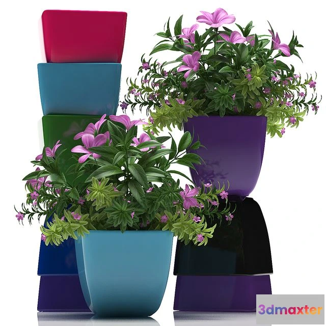 1560284 - PLANTS 40 3D Max