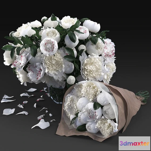 1560350 - White Peonies 3D Max