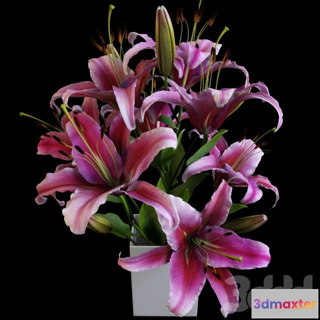 1562199 - Lily bouquet 3D Max