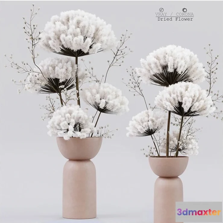 1562626 - Dried Flower 3D Max