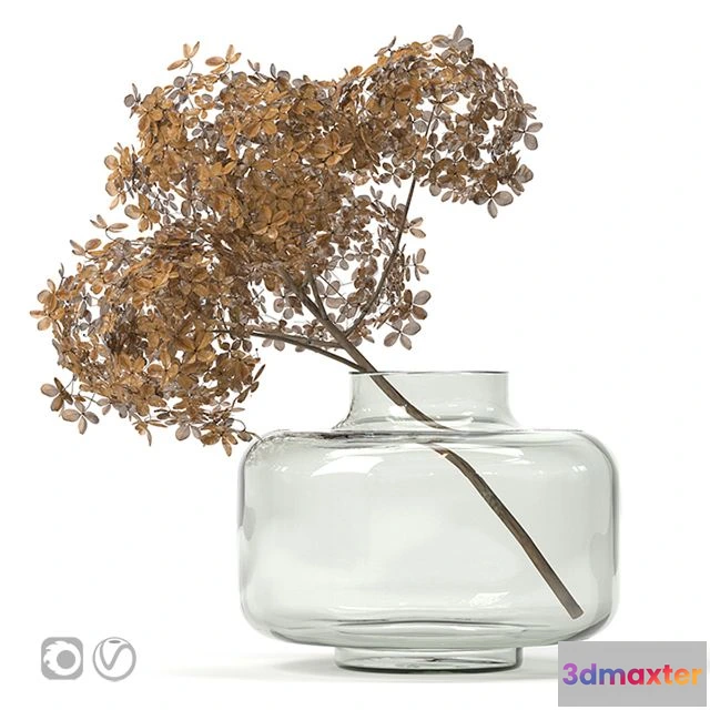 1563751 - Dried flower vase 3D Max