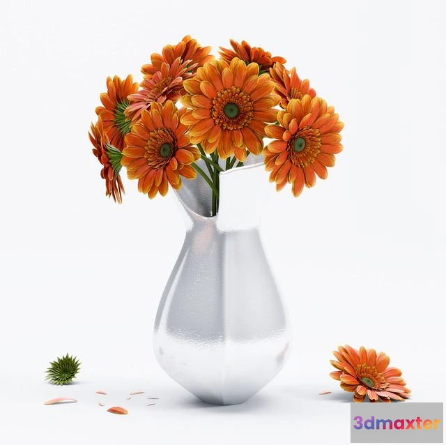 1565176 - Gerbera Flower 3D Max