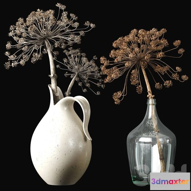 1565532 - Old heracleum 2 dry bouquet 3D Max