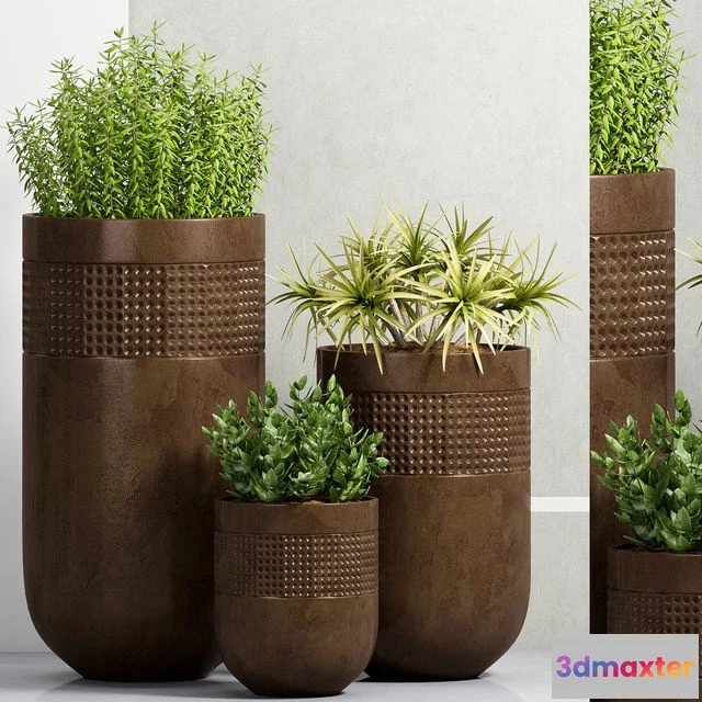 1565558 - PLANT-38 3D Max