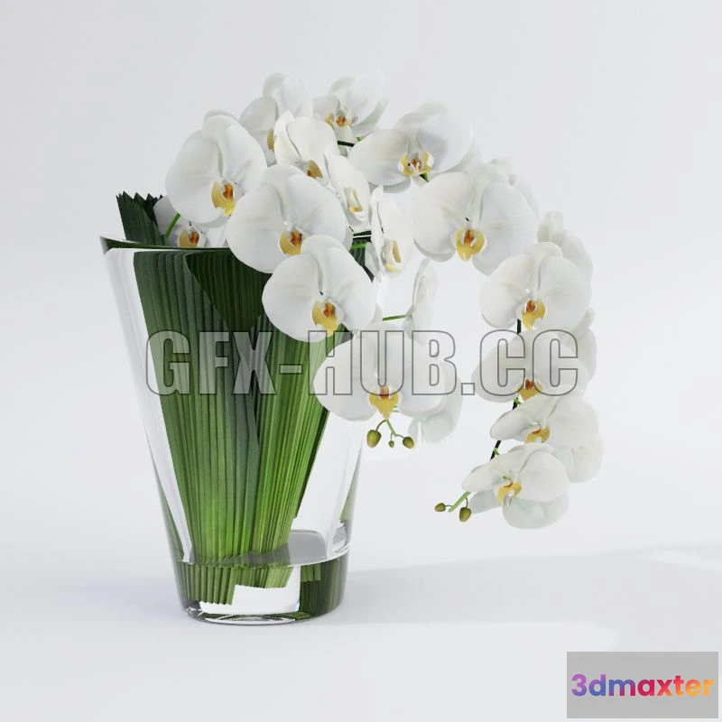 1565814 - Orchid VG 3D Max
