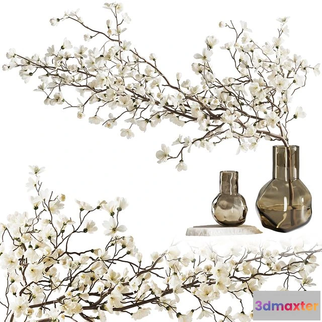 1567310 - Blooming branch in a vase 3D Max