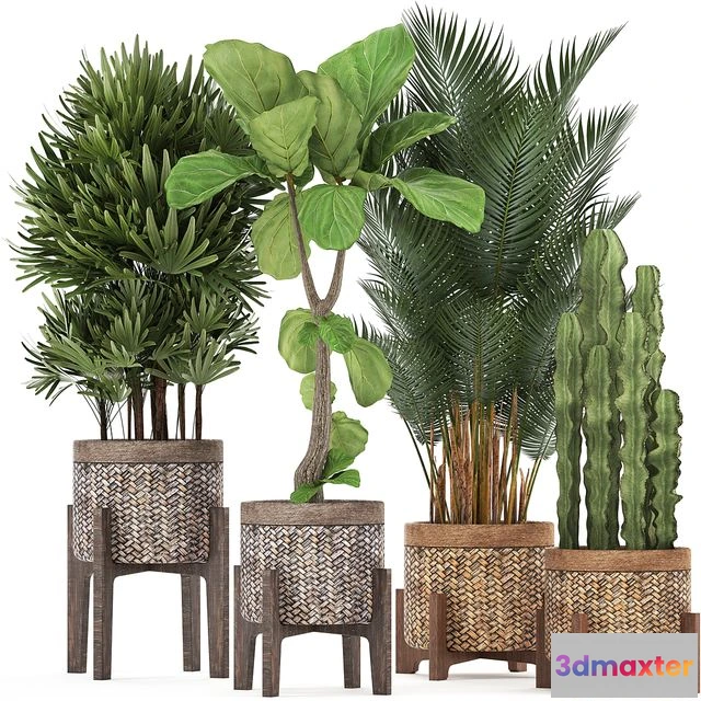 1568338 - Plant collection 337 3D Max
