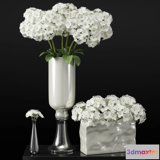 1568462 - Hydrangeas arrangements-hydrangea 3D Max