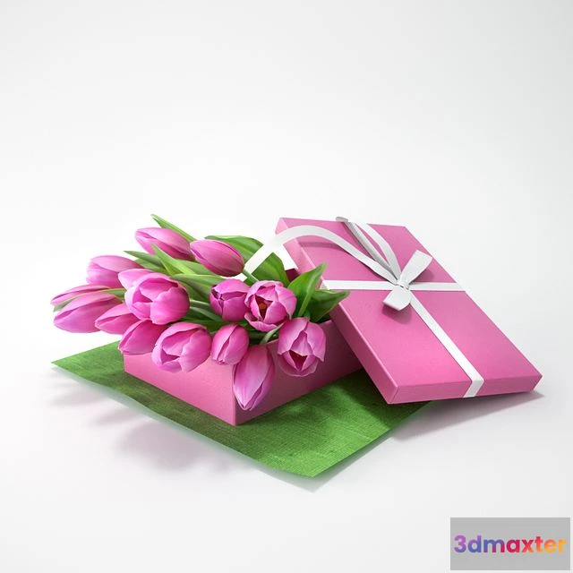 1568498 - Tulips in a gift 3D Max