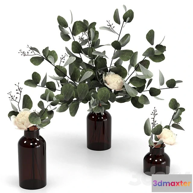 1569330 - Eucalyptus bouquets 3D Max