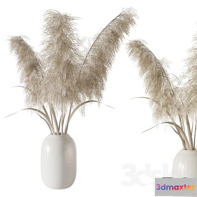 1569344 - Pampas grass bouquet 3D Max