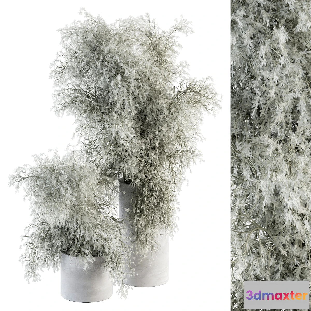 541835 - Bouquet - Green Branch in Concrete vase 79