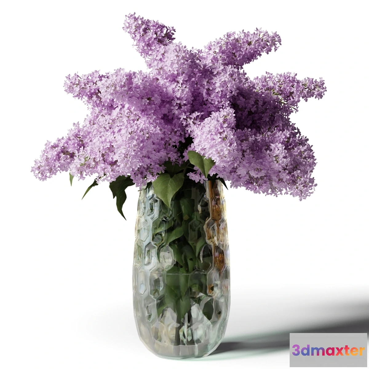 542655 - Bouquet of lilacs in a modern tall vase