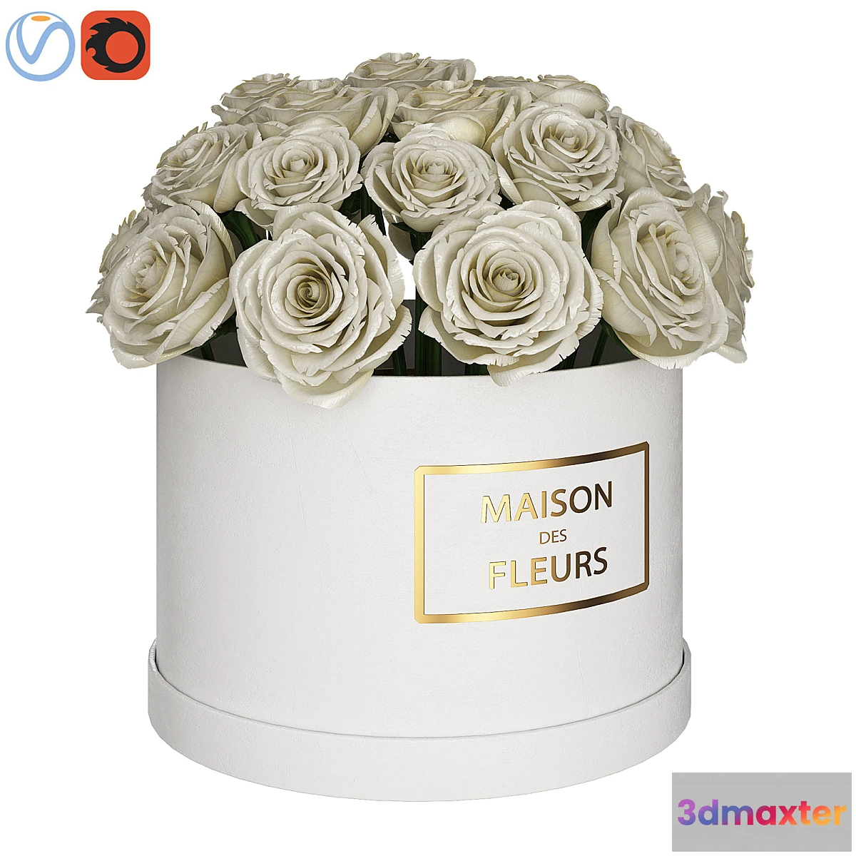 572058 - White roses in box