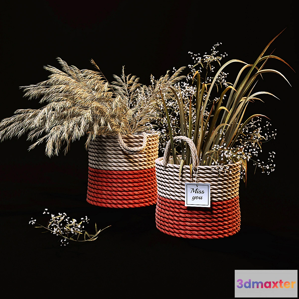 572074 - Field plants set