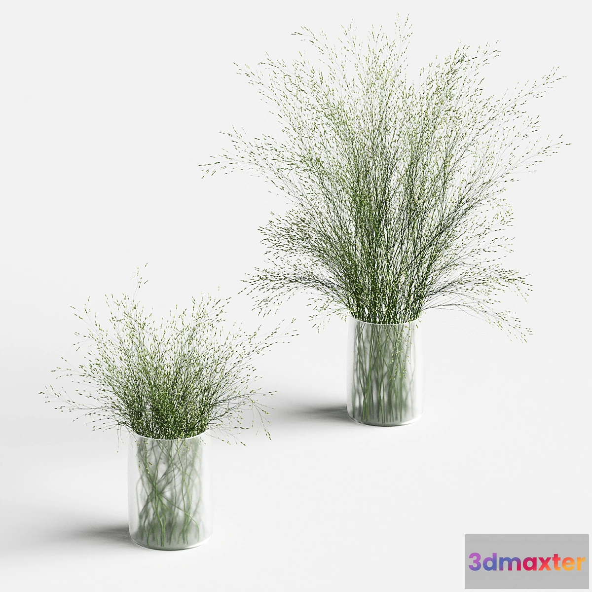 572104 - Grass in vases 2