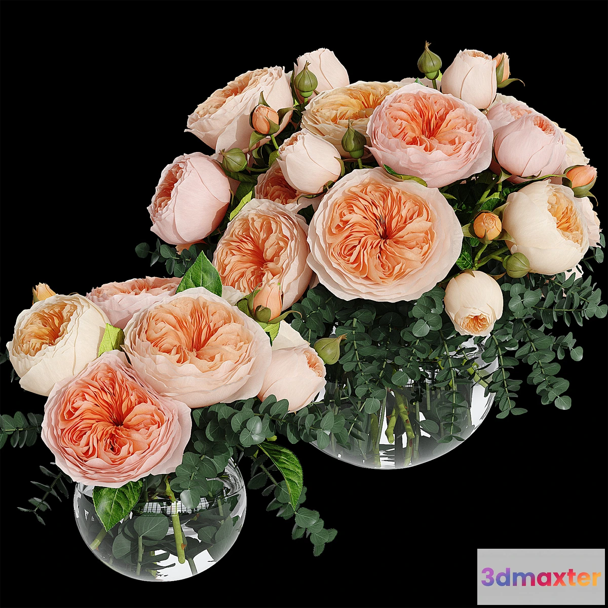 572142 - Rosa Juliet