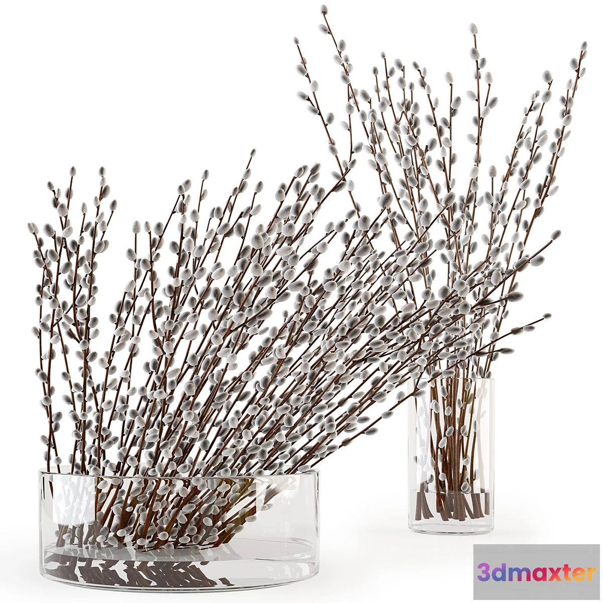 572160 - Branches in a vase 006
