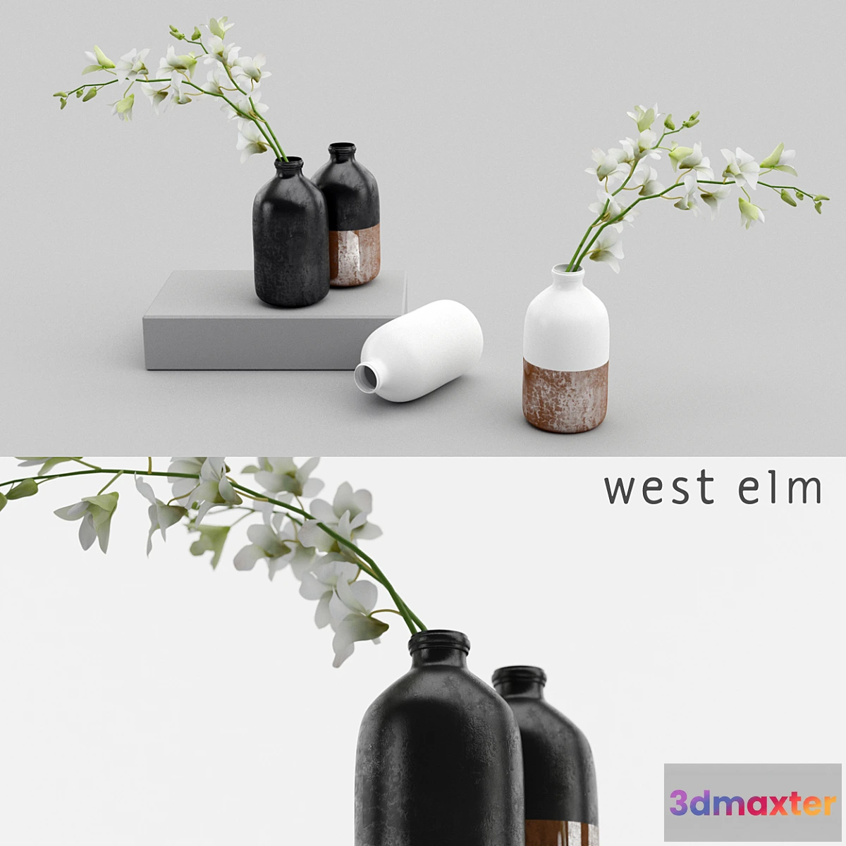 578650 - Westelm vases with Orchids