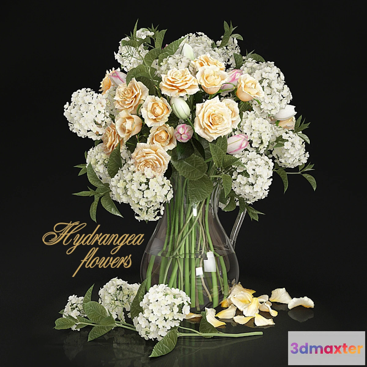 581638 - Hydrangea flowers