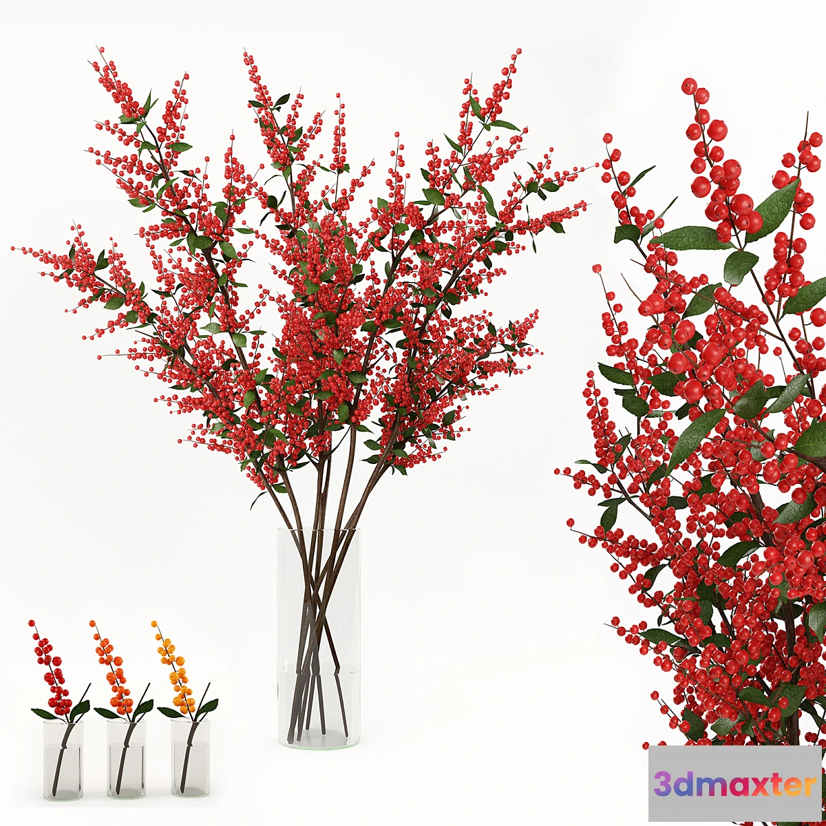 581692 - Branches in the vase 004