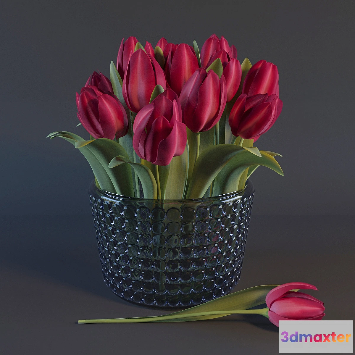 581878 - Red Tulips - No.2