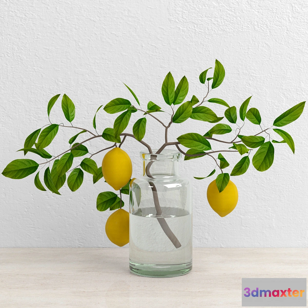 581894 - Lemons on branch