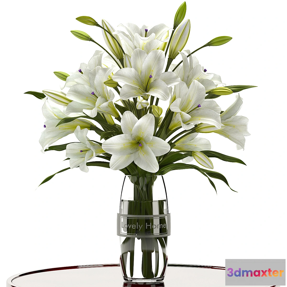 582308 - LILY - No.2