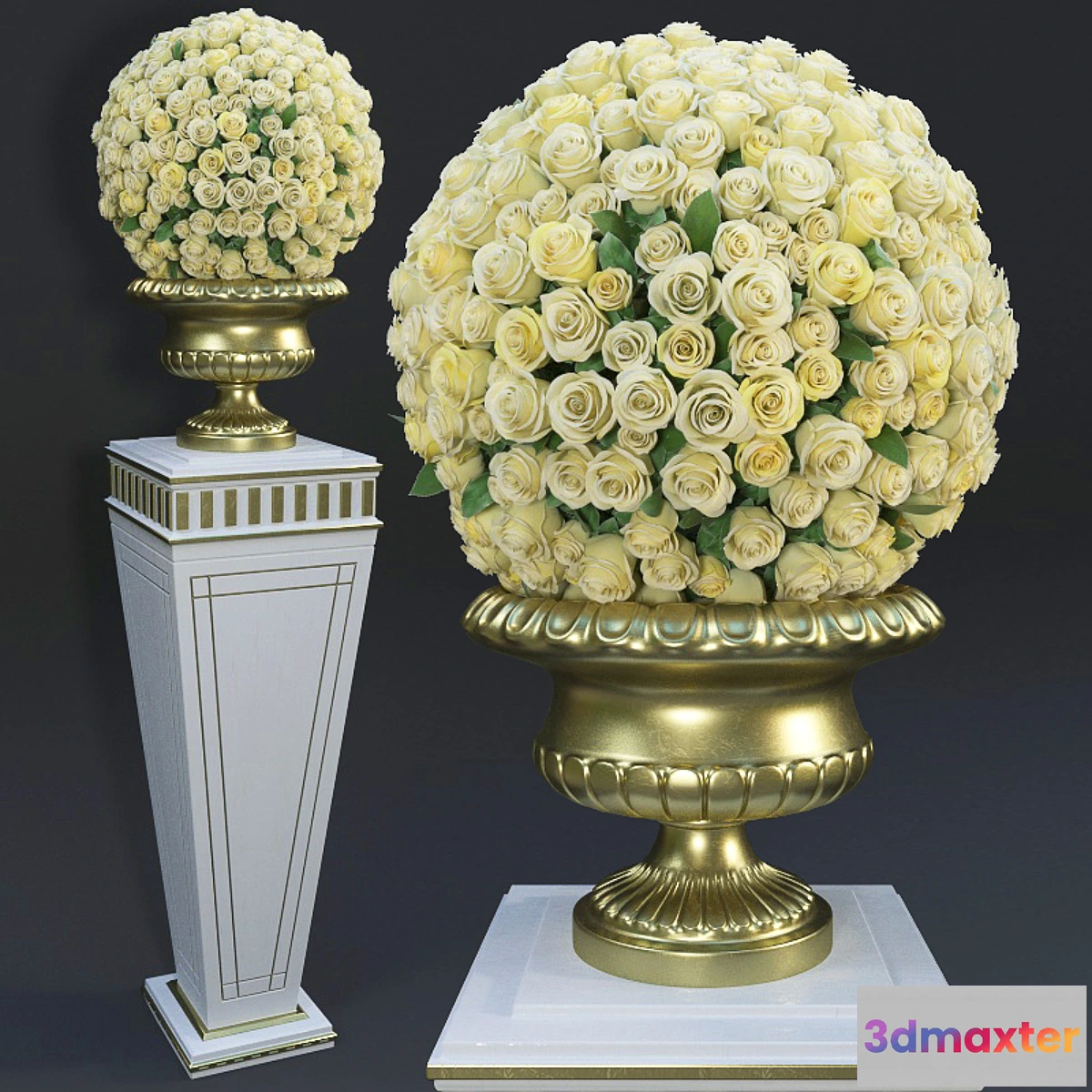 582316 - Yellow Roses