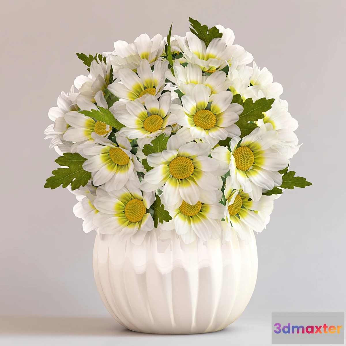 582400 - Chrysanthemums in a vase