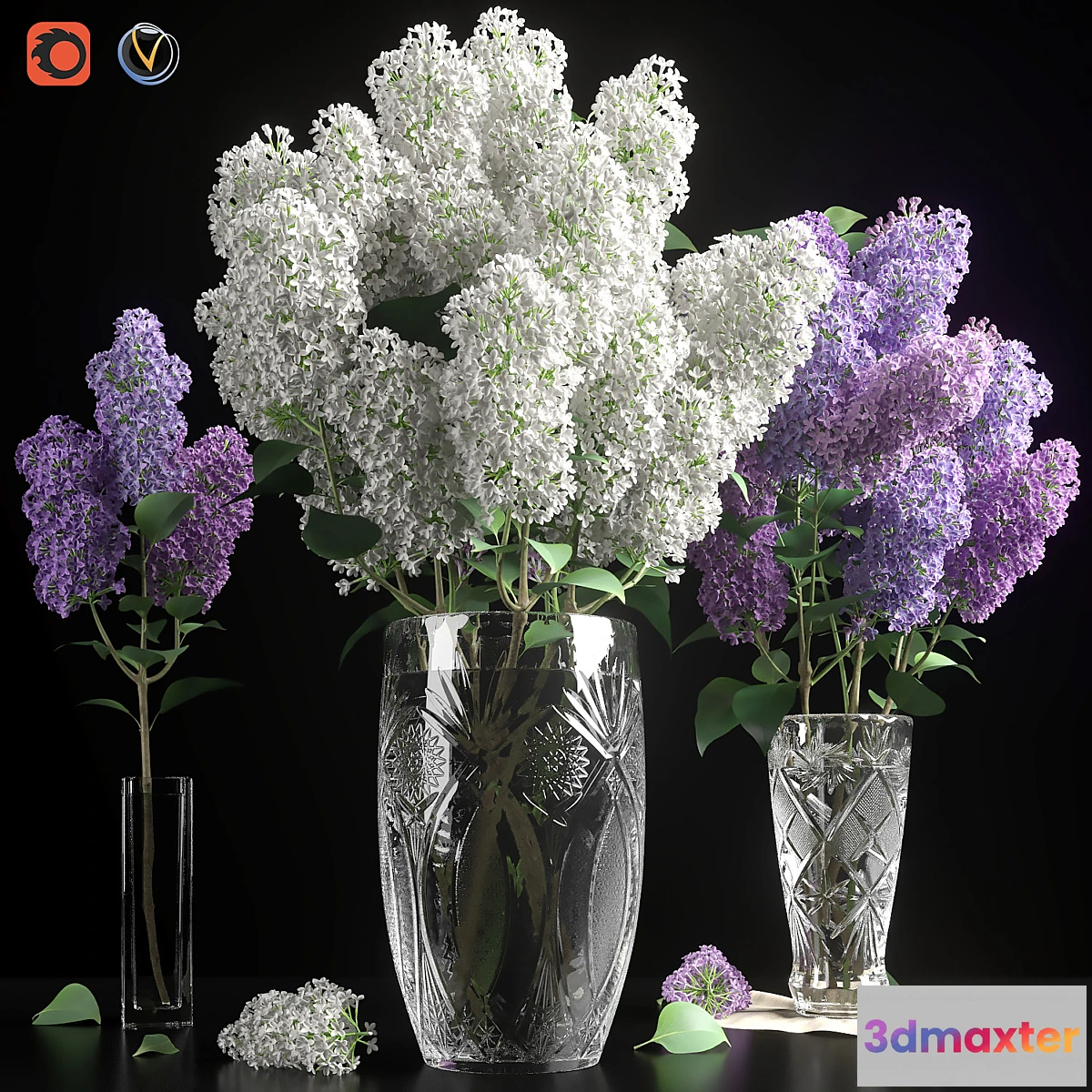 582472 - LILAC 3 in 1 _ LILAC