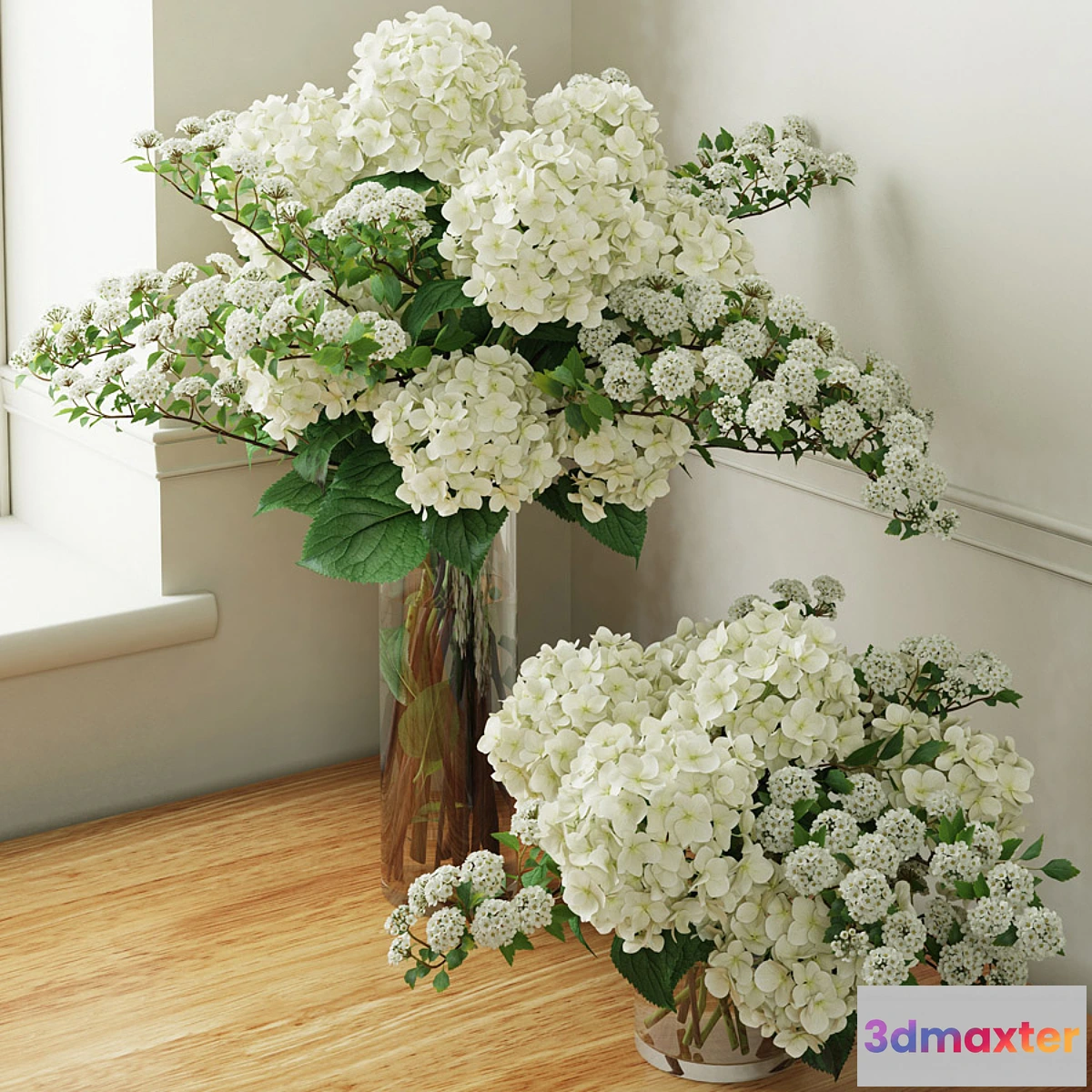 582674 - Hydrangea 2