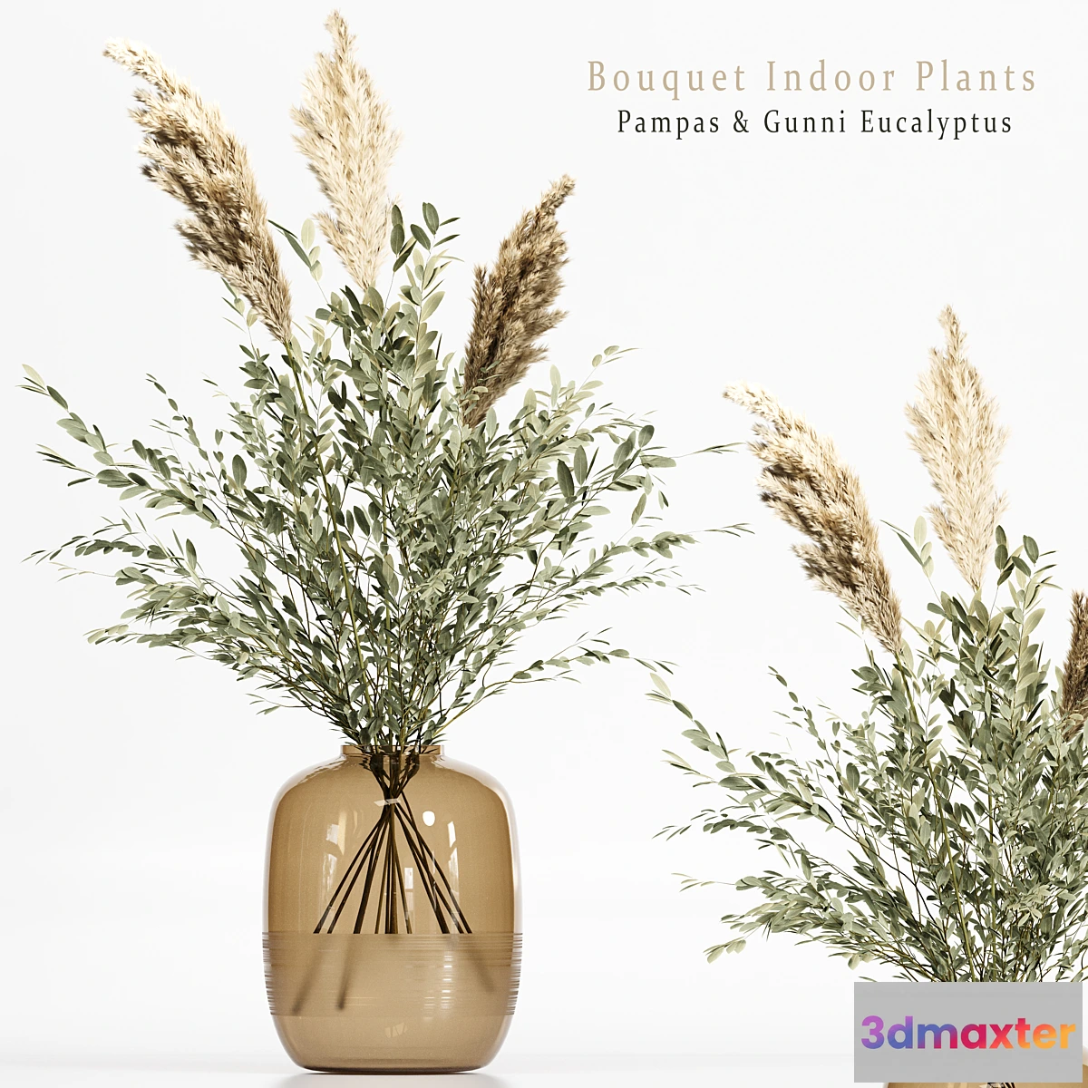 591388 - Bouquet Indoor Plants.017