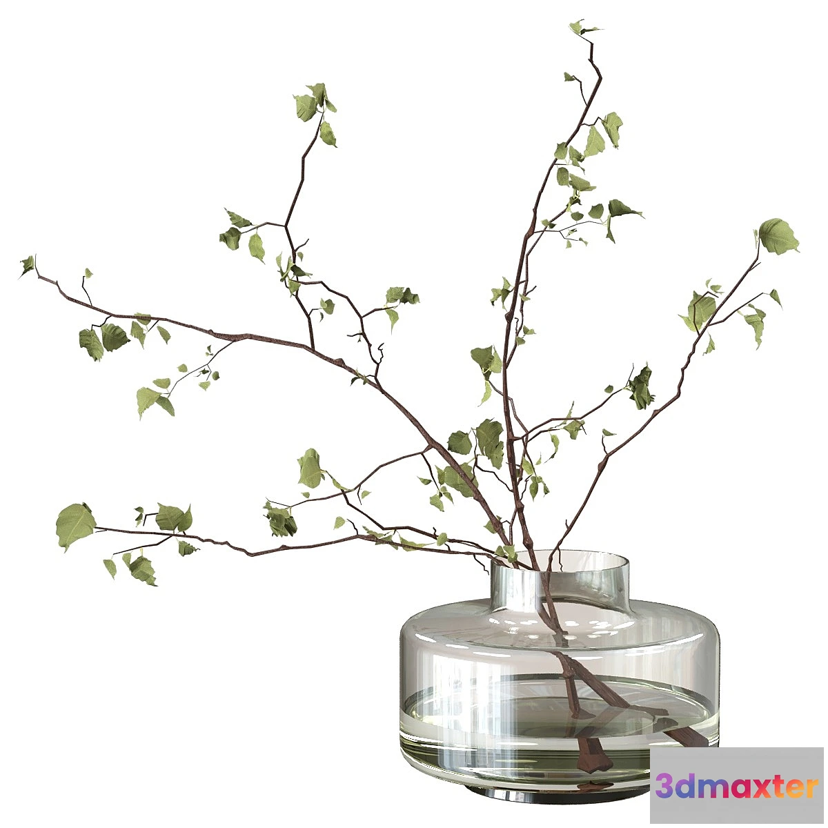591486 - Branches in a vase - No.2