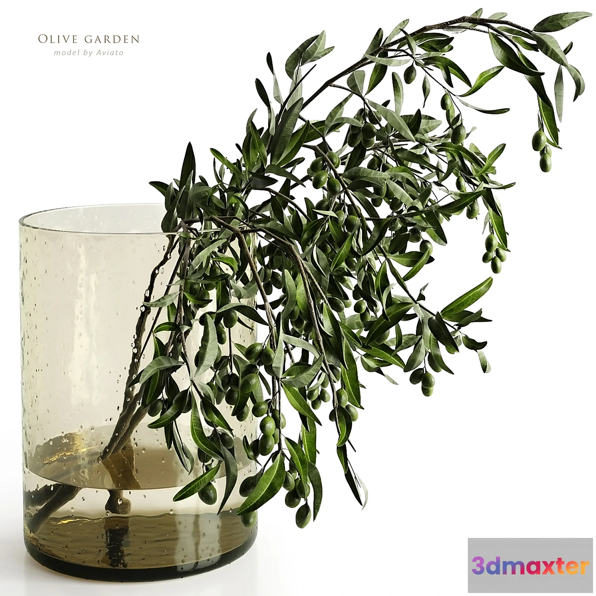 591508 - olive garden