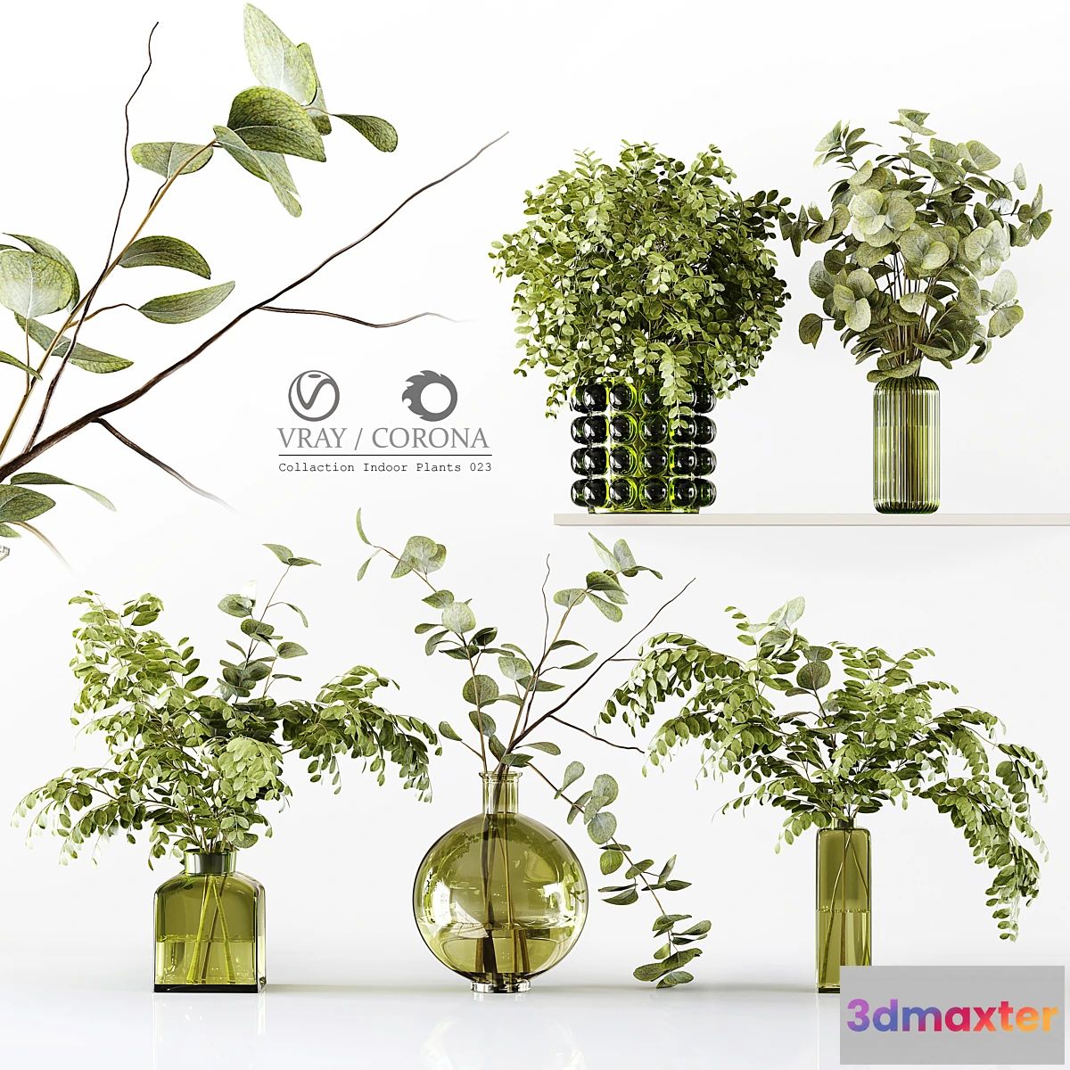 591686 - Collection Indoor Plants 023