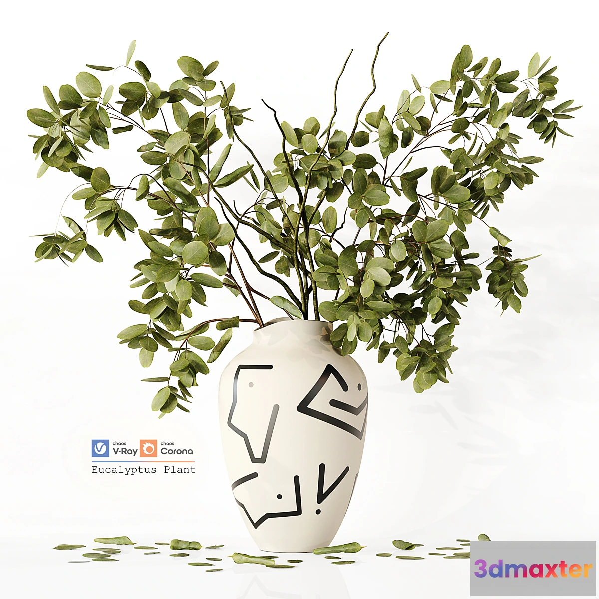 591914 - Eucalyptus Plant