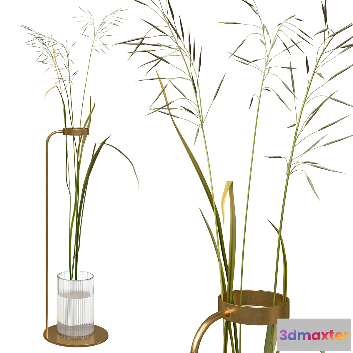 592118 - Decorative composition with field grass