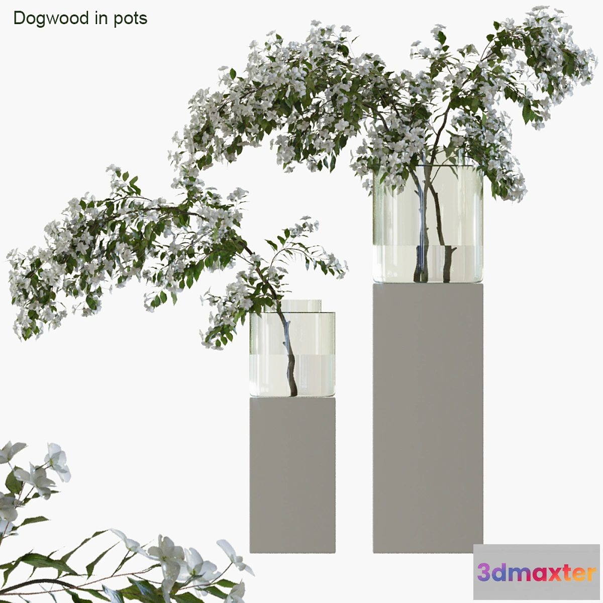 592410 - Branches in vases 35