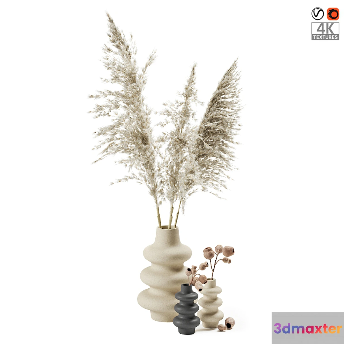 592418 - Vases with dried plants