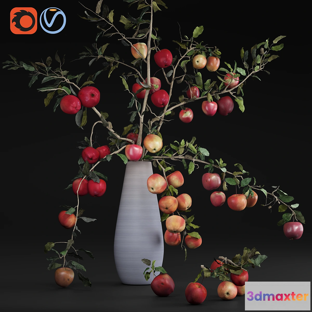 592468 - Red Cherry tomato apple branches Dry leaves Vase