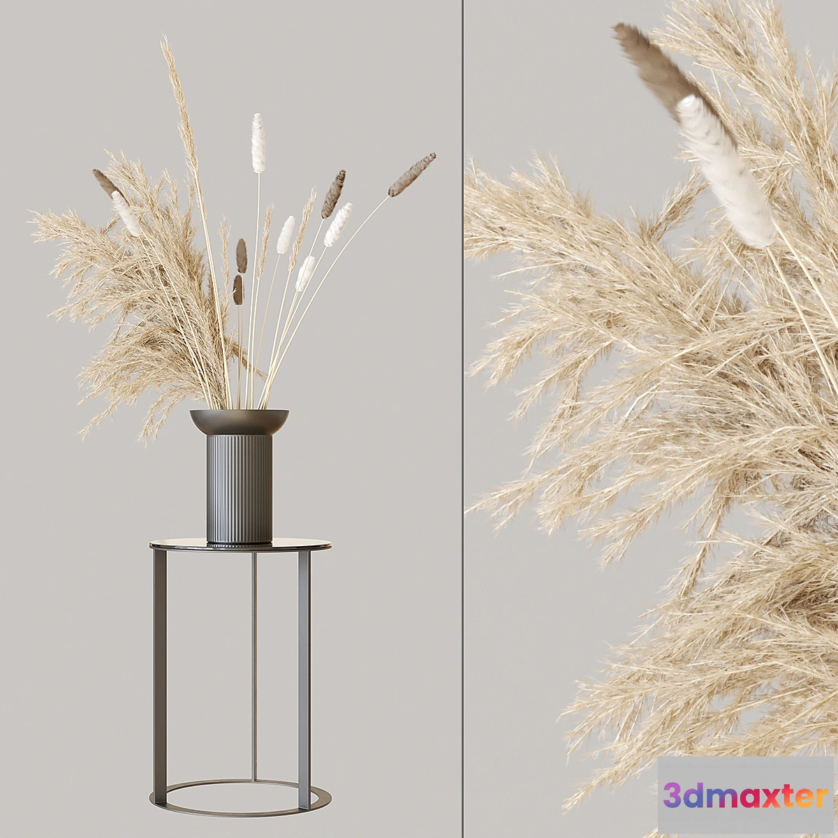 592498 - Pampas set 1