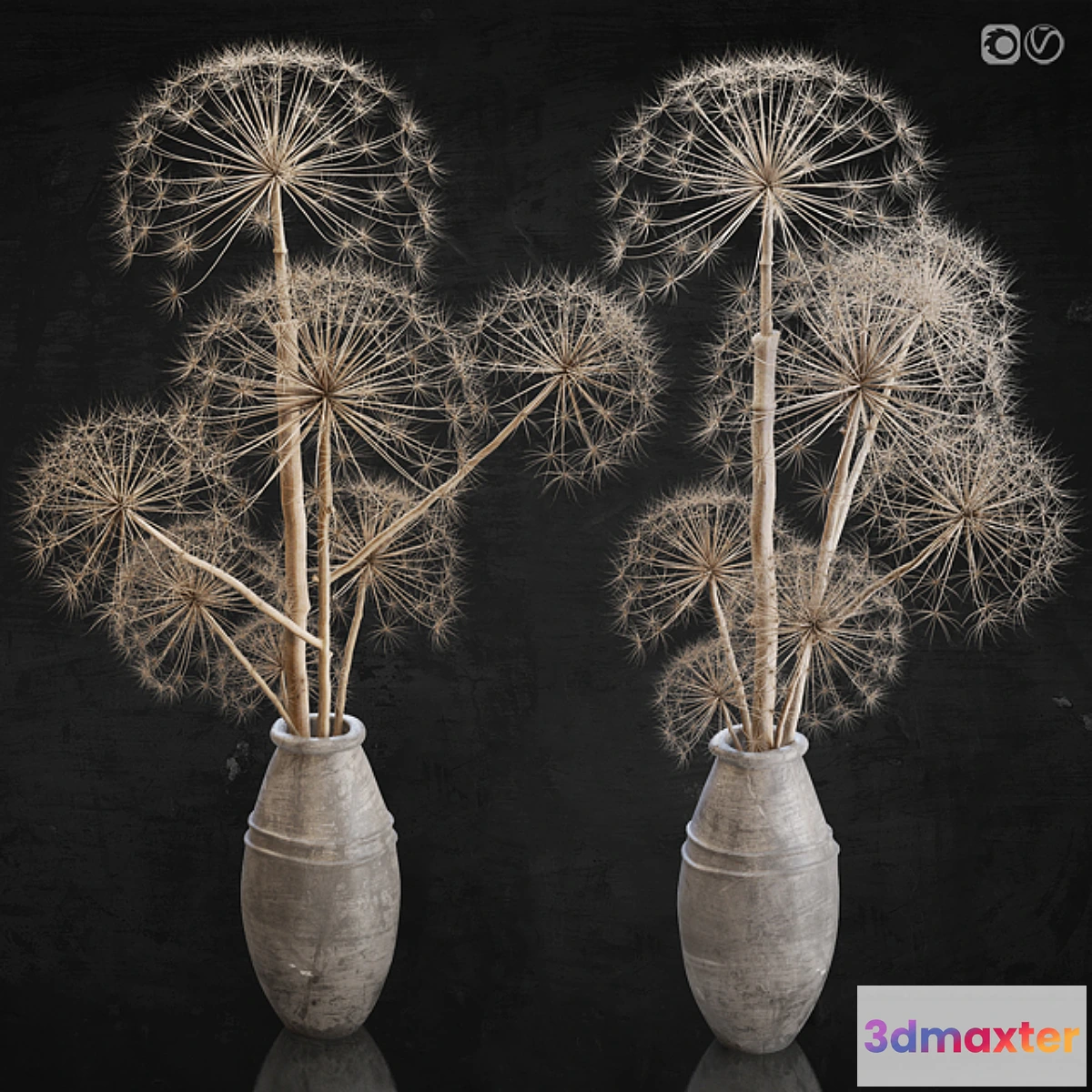 592518 - Decor set 11 Heracleum plant