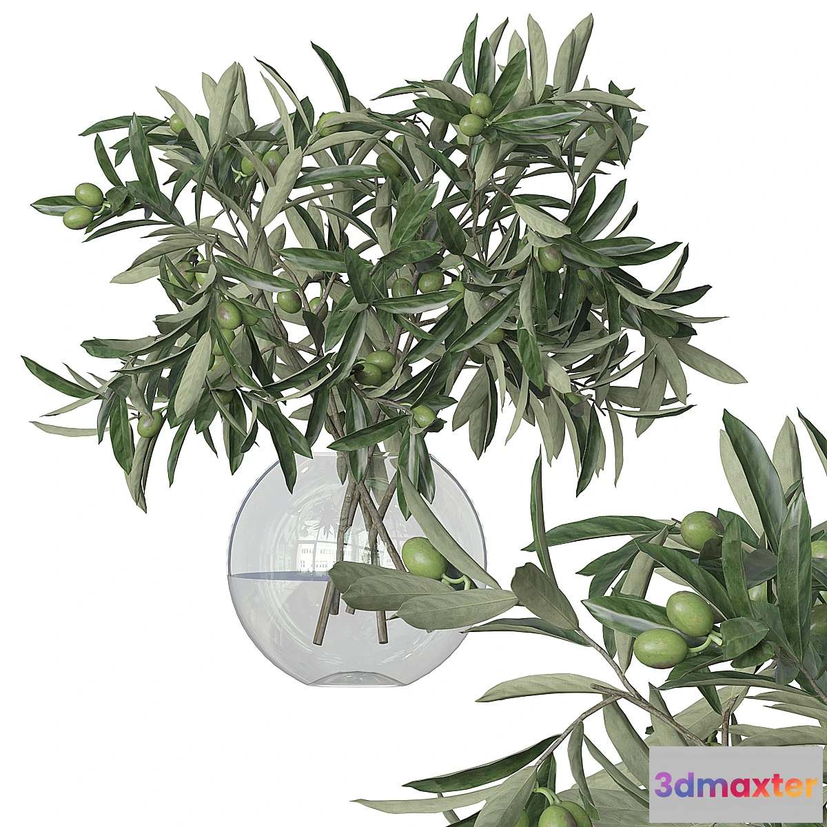 592524 - Flowers branch 4