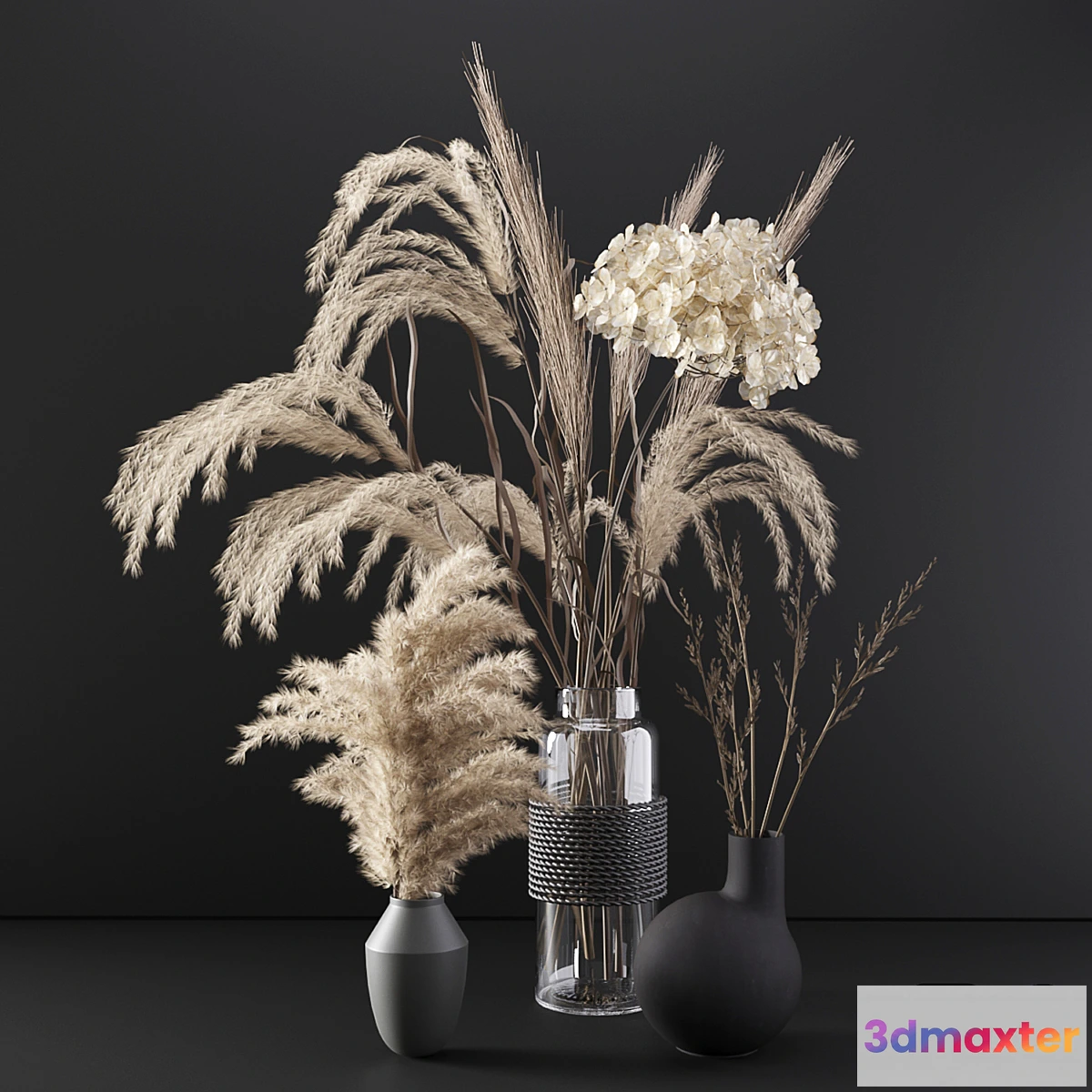 592526 - Set with dry plants