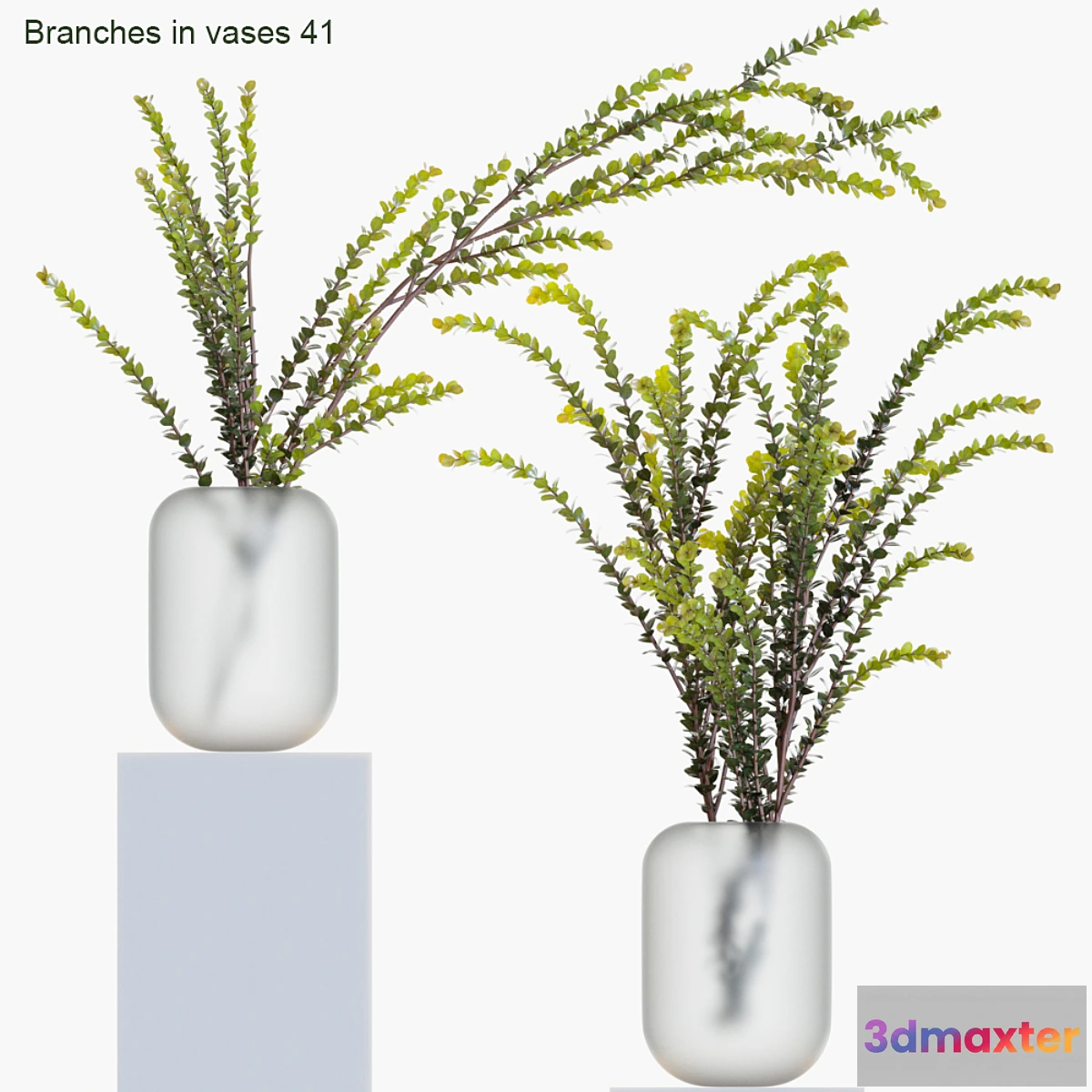 592644 - Branches in vases 41